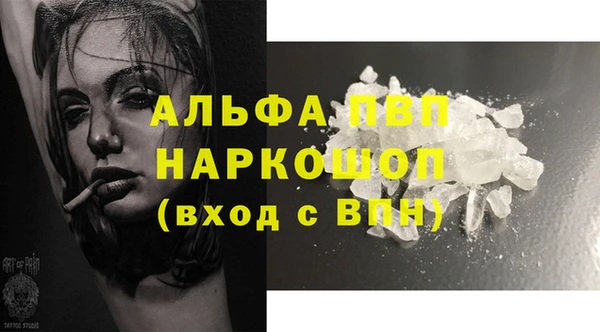 гашик Аркадак