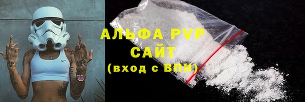 гашик Аркадак