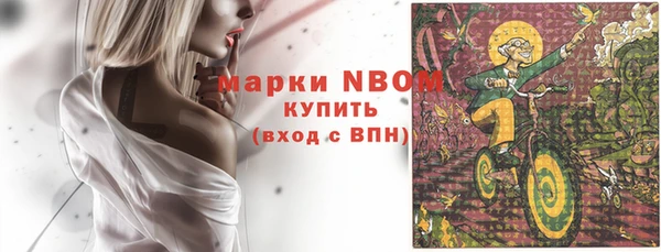 гашик Аркадак