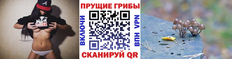 Псилоцибиновые грибы GOLDEN TEACHER Нолинск