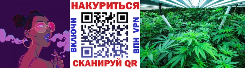 Бошки марихуана сатива  где можно купить наркотик  Нолинск 
